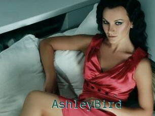 AshleyBird