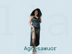 Agnesawuor