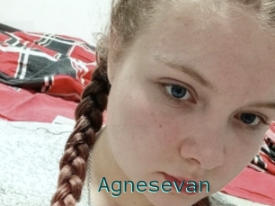 Agnesevan