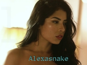 Alexasnake