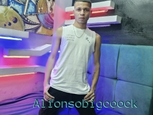 Alfonsobigcoock