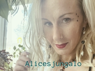 Alicesjungalo