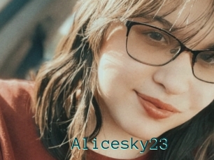 Alicesky23