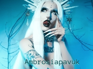 Ambrosiapavuk