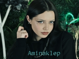 Aminaklep