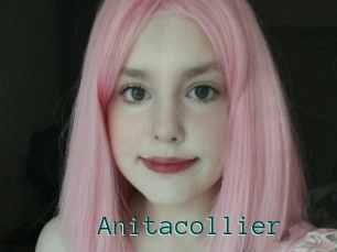 Anitacollier