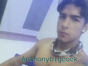 Anthonybigcock