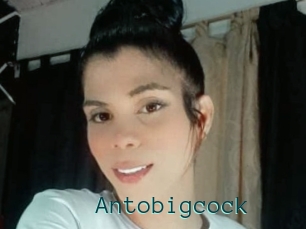 Antobigcock