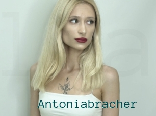 Antoniabracher