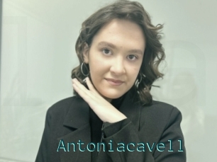 Antoniacavell