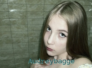 Audreybagge