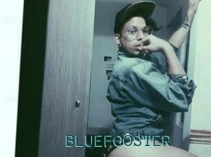 BLUEFOOSTER