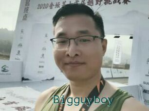 Bigguyboy