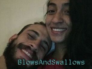 BlowsAndSwallows