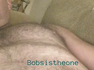 Bobsistheone