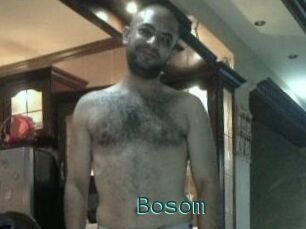 Bosom