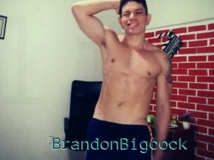 BrandonBigcock