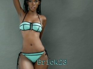 Brick23