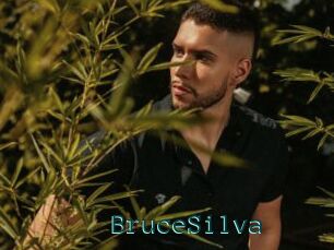 BruceSilva