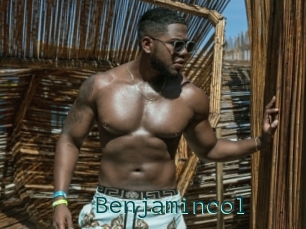 Benjamincol