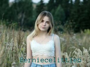 Berniecelittleb
