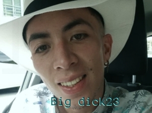 Big_dick23