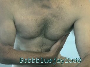 Bobbbluejay2530