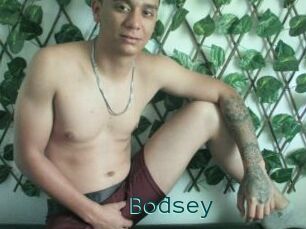 Bodsey