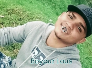 Boycurious