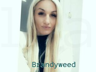 Brandyweed