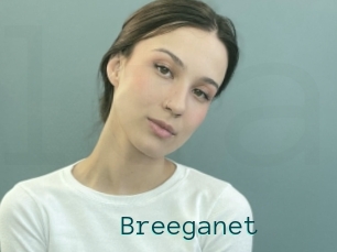 Breeganet