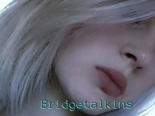 Bridgetalkins