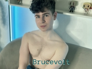 Brucevolt