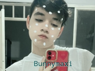 Bunnymaxi