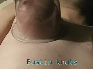 Bustin_knuts