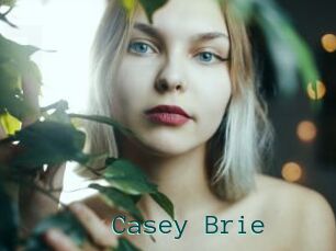 Casey_Brie