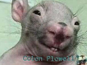 Colon_Plowell