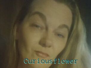 Curiousflower