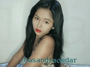 Casandracedar