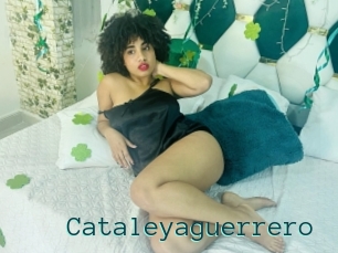 Cataleyaguerrero