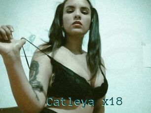 Catleya_x18