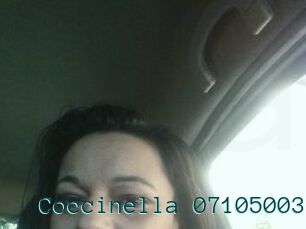 Coccinella-07105003