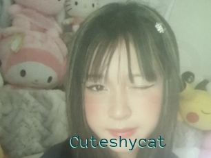 Cuteshycat