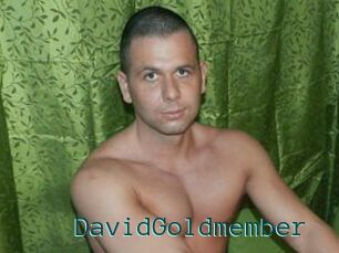 DavidGoldmember