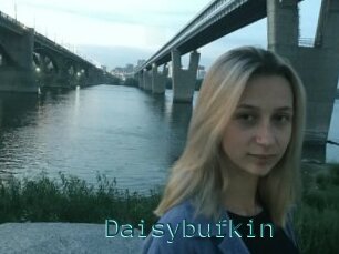Daisybufkin