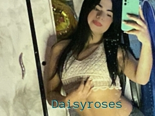 Daisyroses