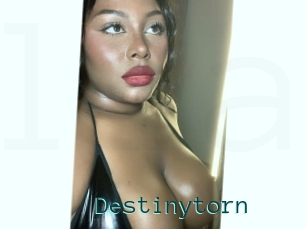 Destinytorn