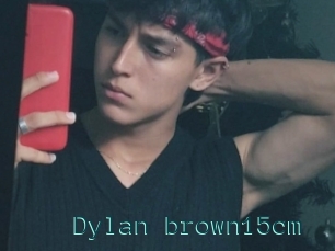 Dylan_brown15cm