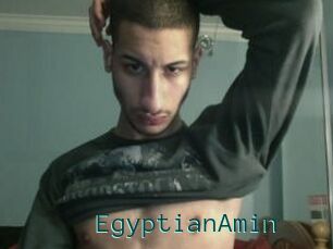 EgyptianAmin