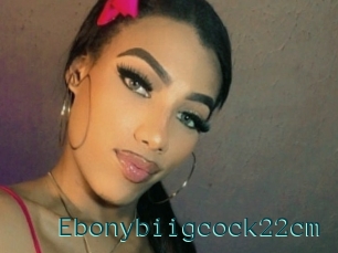 Ebonybiigcock22cm